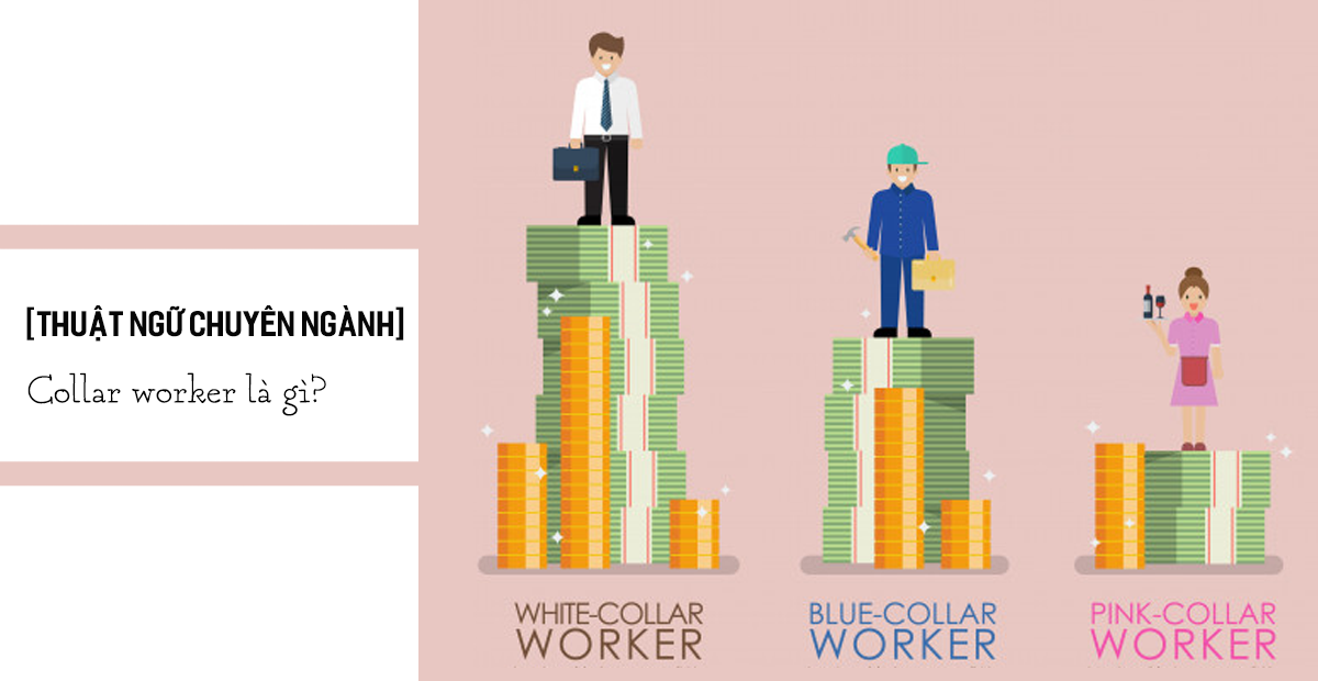 blue collar vs ivory tower personality